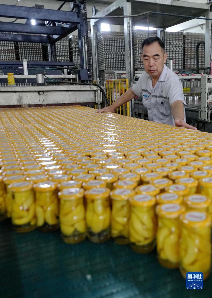 捕鱼达人3d电脑版下载官网